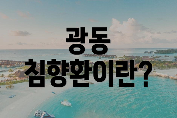 광동 침향환이란?
