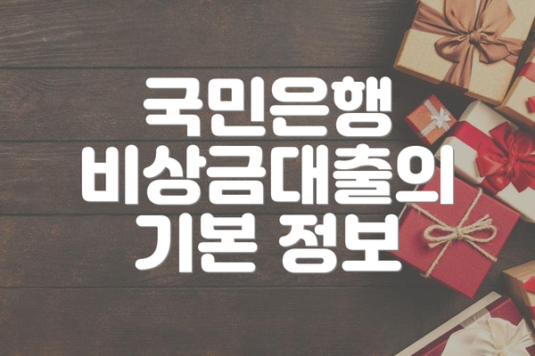 국민은행 비상금대출의 기본 정보