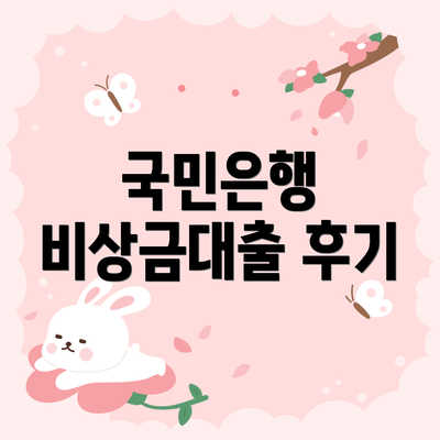 국민은행 비상금대출 후기