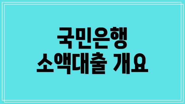 국민은행 소액대출 개요