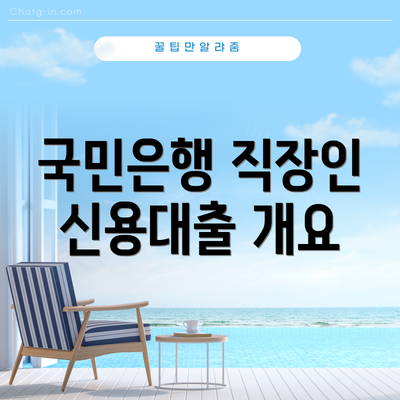 국민은행 직장인 신용대출 개요