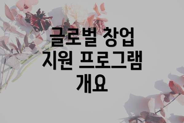 글로벌 창업 지원 프로그램 개요