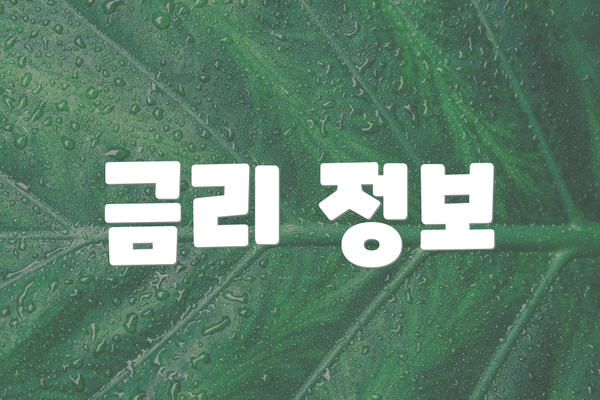 금리 정보
