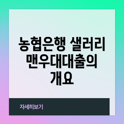 농협은행 샐러리맨우대대출의 개요
