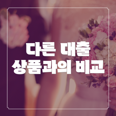 다른 대출 상품과의 비교