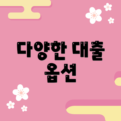 다양한 대출 옵션