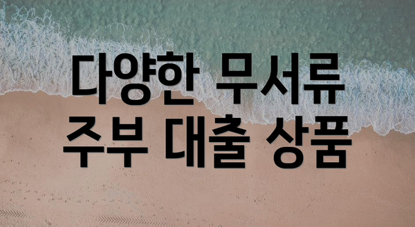 다양한 무서류 주부 대출 상품