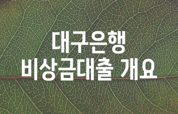 대구은행 비상금대출 개요