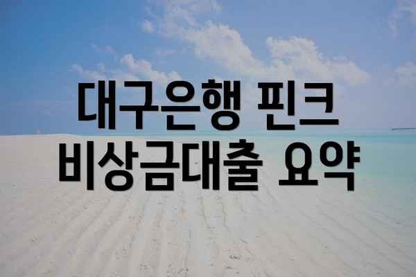 대구은행 핀크 비상금대출 요약