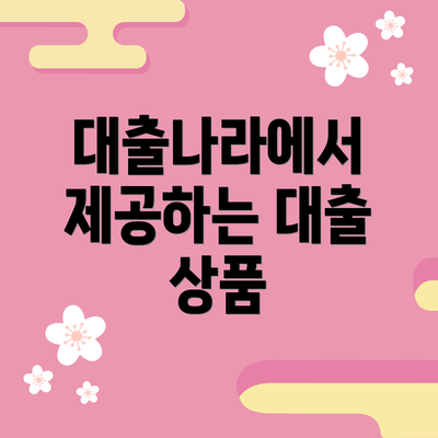 대출나라에서 제공하는 대출 상품