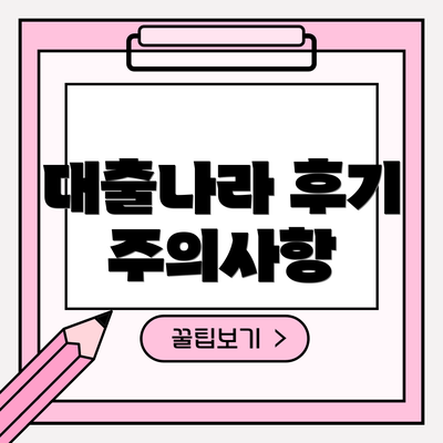 대출나라 후기 주의사항