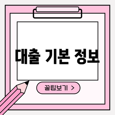 대출 기본 정보
