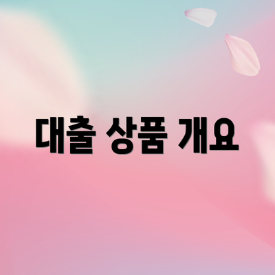 대출 상품 개요