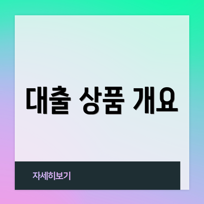 대출 상품 개요