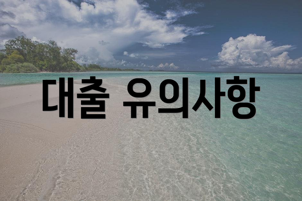 대출 유의사항