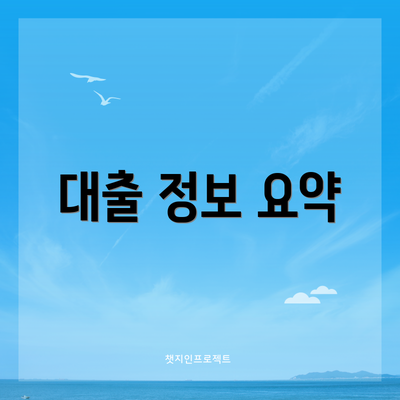대출 정보 요약