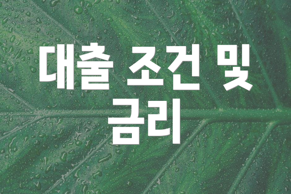 대출 조건 및 금리