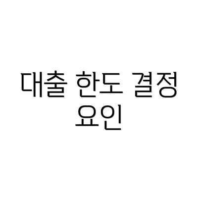 대출 한도 결정 요인
