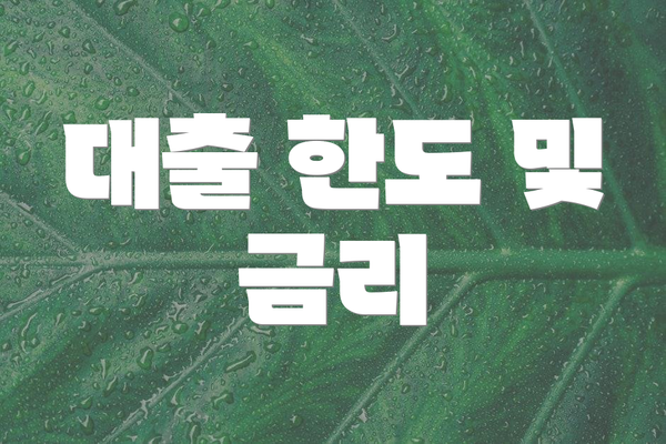 대출 한도 및 금리