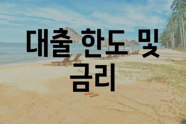 대출 한도 및 금리