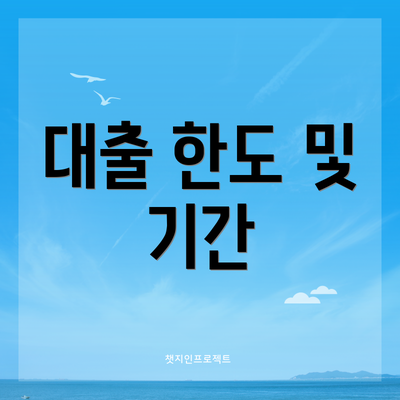 대출 한도 및 기간