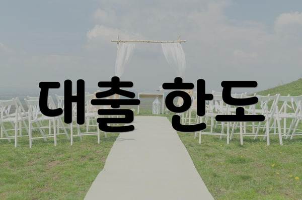 대출 한도
