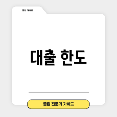 대출 한도