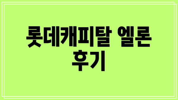 롯데캐피탈 엘론 후기