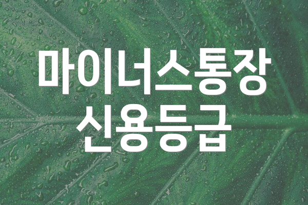 마이너스통장 신용등급