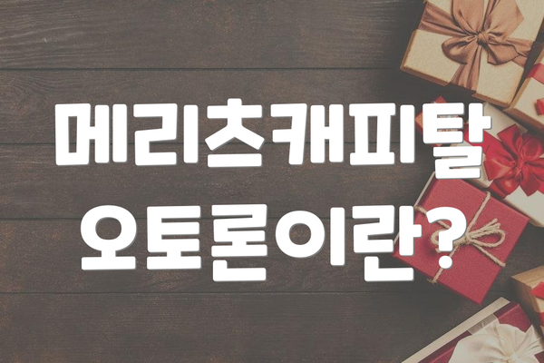 메리츠캐피탈 오토론이란?