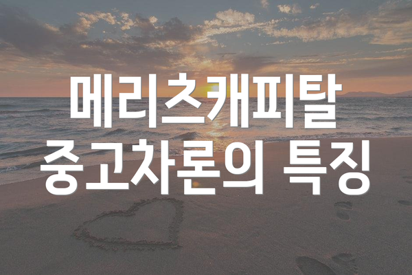 메리츠캐피탈 중고차론의 특징