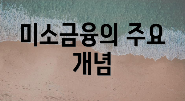 미소금융의 주요 개념