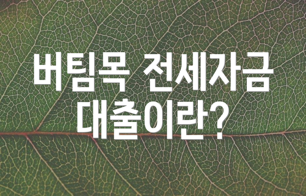 버팀목 전세자금대출이란?