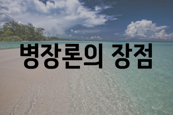 병장론의 장점