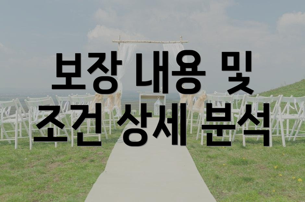 보장 내용 및 조건 상세 분석