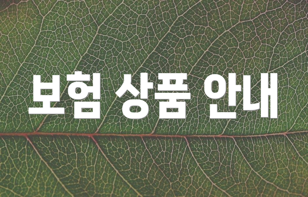 보험 상품 안내