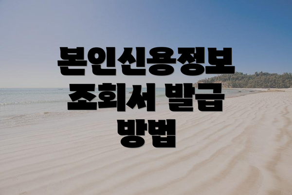 본인신용정보 조회서 발급 방법