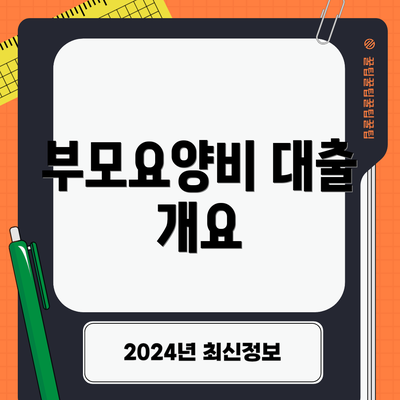 부모요양비 대출 개요