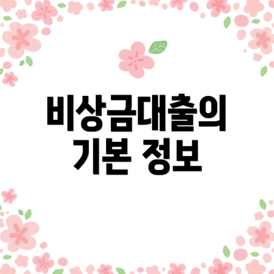 비상금대출의 기본 정보
