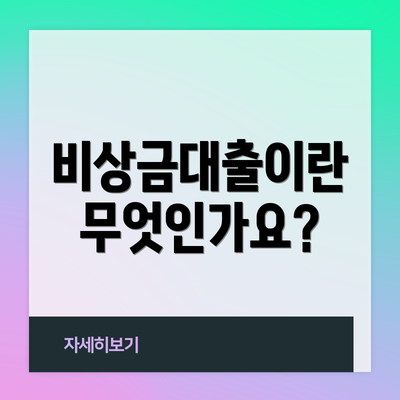 비상금대출이란 무엇인가요?