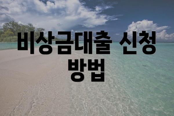 비상금대출 신청 방법