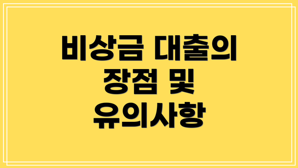 비상금 대출의 장점 및 유의사항
