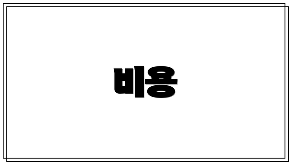 비용