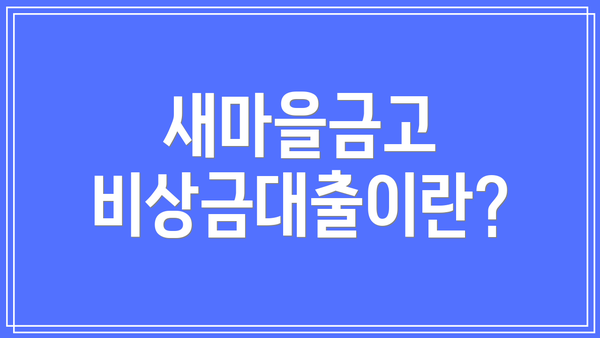 새마을금고 비상금대출이란?