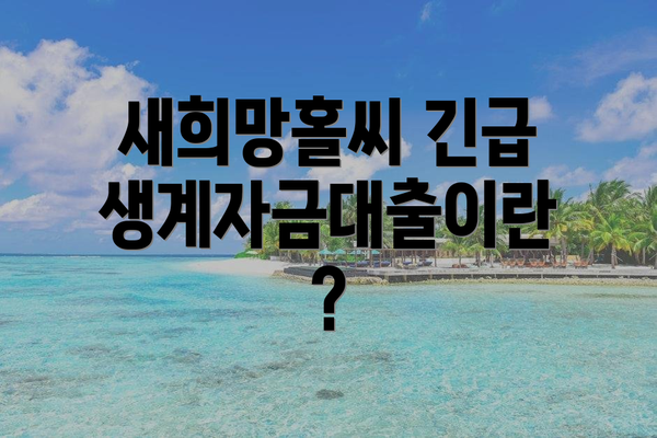 새희망홀씨 긴급생계자금대출이란?