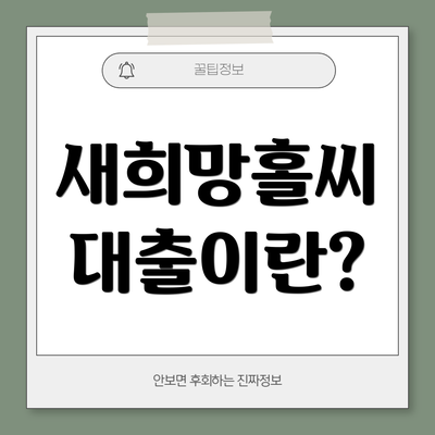새희망홀씨 대출이란?