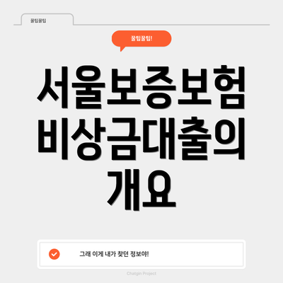 서울보증보험 비상금대출의 개요