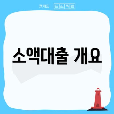 소액대출 개요