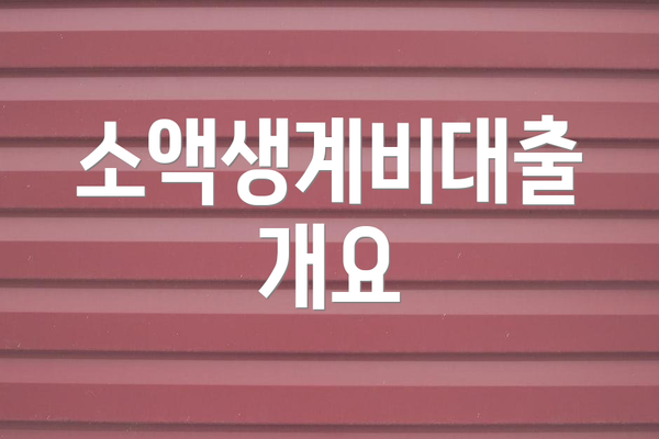 소액생계비대출 개요
