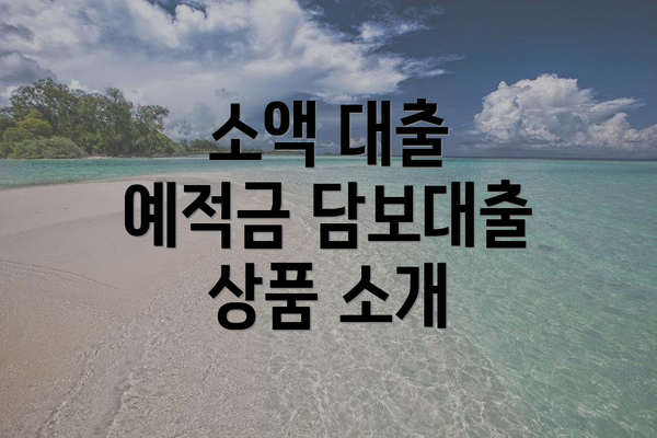 소액 대출 예적금 담보대출 상품 소개